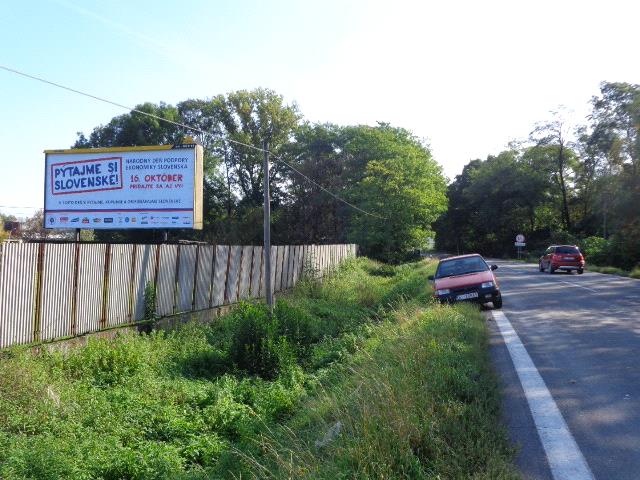 601011 Billboard, Radošovce (cesta 1.triedy Holíč - Senica )