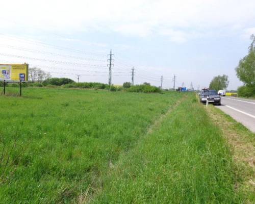 601025 Billboard, Vradište (cesta 1.triedy ČR, Skalica- Holič)