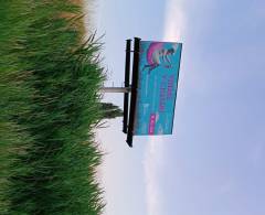451106 Billboard,  ()