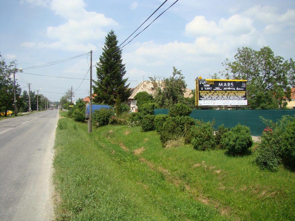 271042 Billboard, Kolárovo (hlavný cestný ťah Komárno - Šaľa )