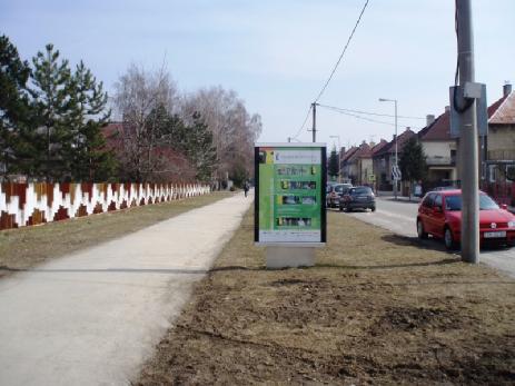 702090 Citylight, Trenčín (Hodžova)