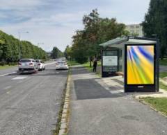 482263 Citylight, Poprad (E-50/výpadovka na Košice-AZ)