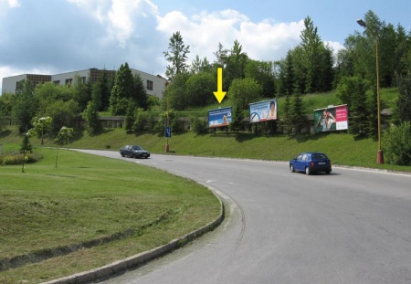 491006 Billboard, Považská Bystrica (Prístupová)